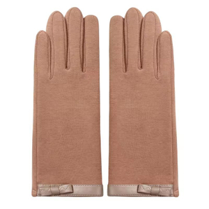 Wholesale Cheap Elegant Fashion Warm Gloves Winter Women Touch Screen Fleece Gloves for Ladies
