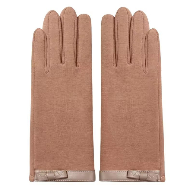 Wholesale Cheap Elegant Fashion Warm Gloves Winter Women Touch Screen Fleece Gloves for Ladies
