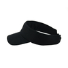Sun Visor
